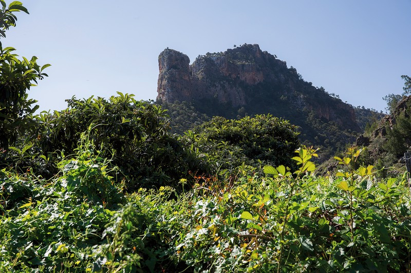 JLI_MarrocosSaidia-2913.jpg