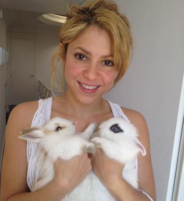 Shakira.jpg