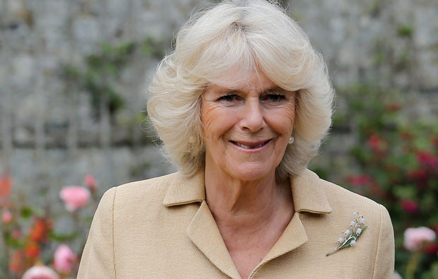 Camilla Parker Bowles.jpg