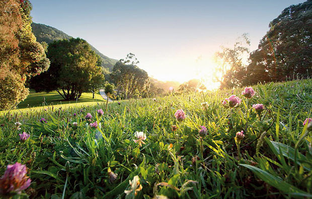 4-As-Criaturas-da-Floresta-.jpg