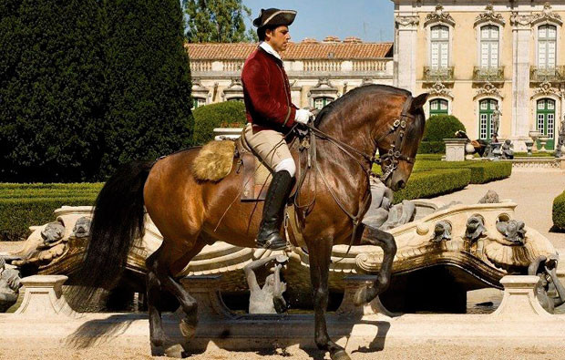 equitacao.jpg