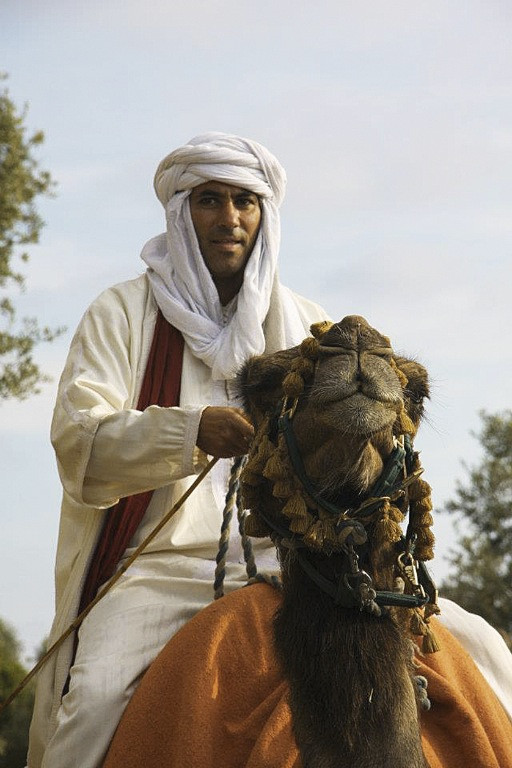 Arabian Days.jpg