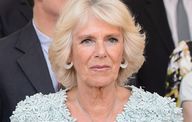 Camilla Parker Bowles.jpg