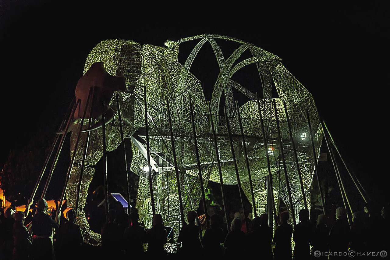 2-A Viagem do Elefante © Ricardo Chaves (3).jpg