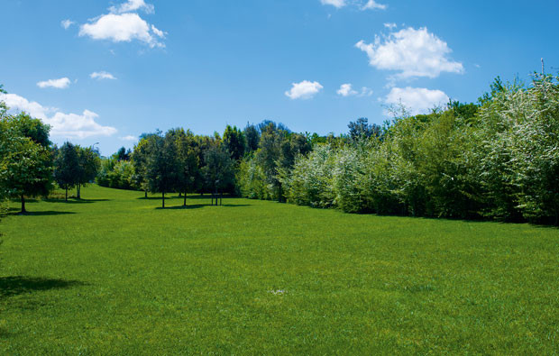 2-Parque-de-Serralves-2013-.jpg