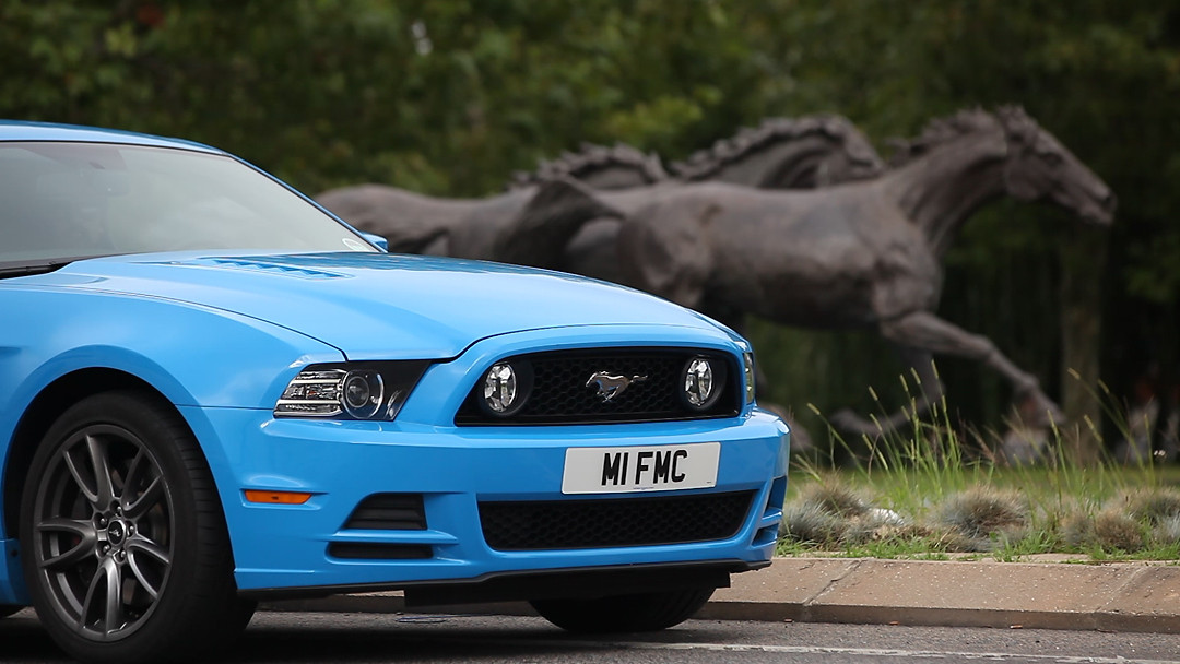 mustang.jpg
