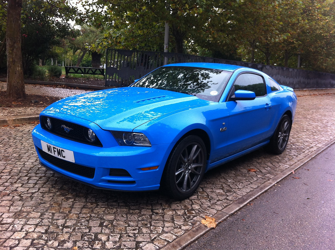 2013-09-25 10.47.19.jpg