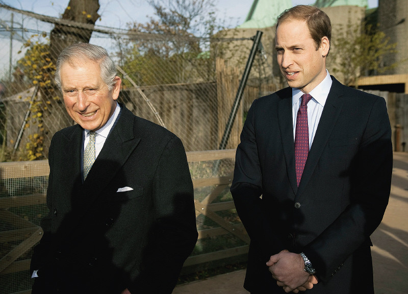 Carlos e William de Inglaterra.jpg