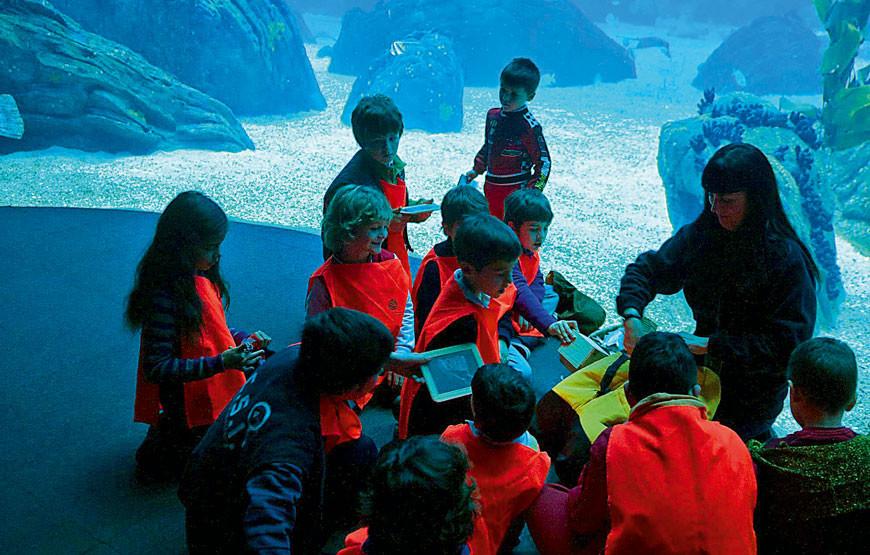 4-Oceanário_Férias-Debaixo-.jpg