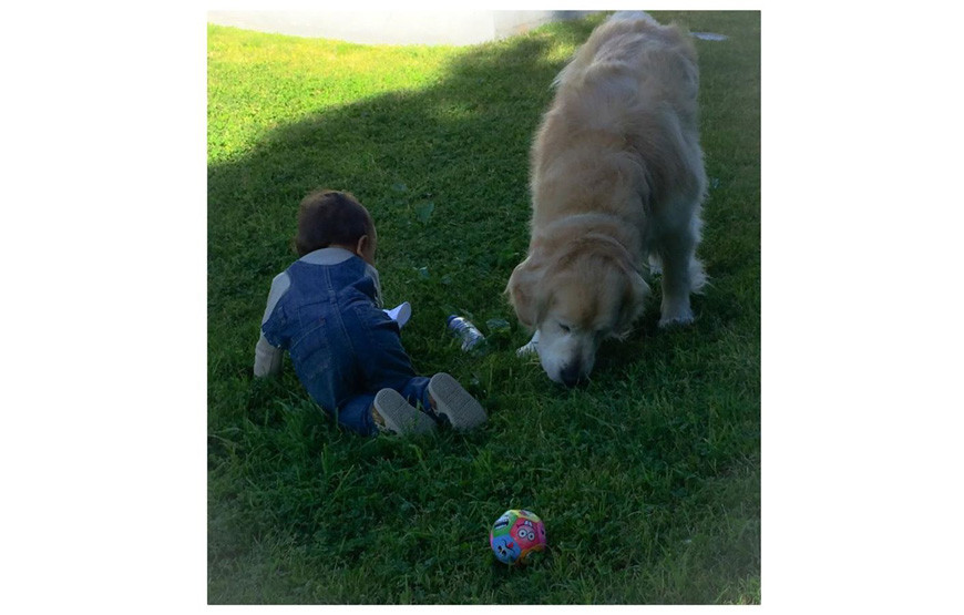 0.jpg