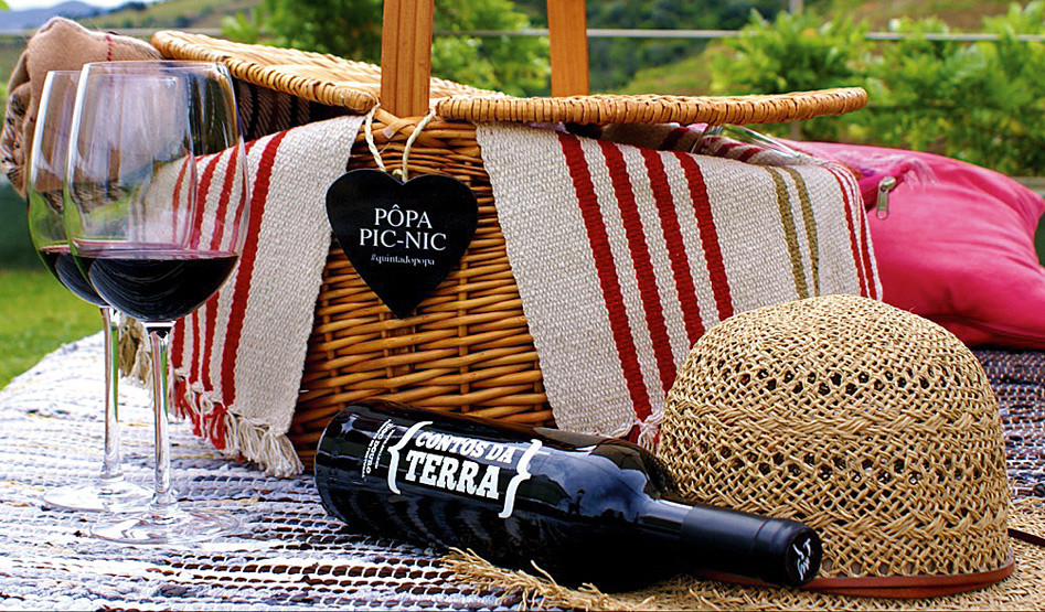 6-Popa-Pic-Nic.jpg
