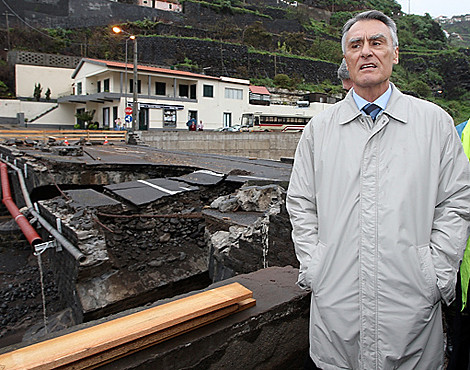 users_0_10_cavaco-silva-na-madeira-8dbb.jpg