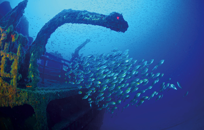 6---Madeira.jpg
