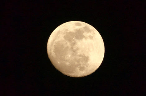 users_0_20_lua-3972.jpg