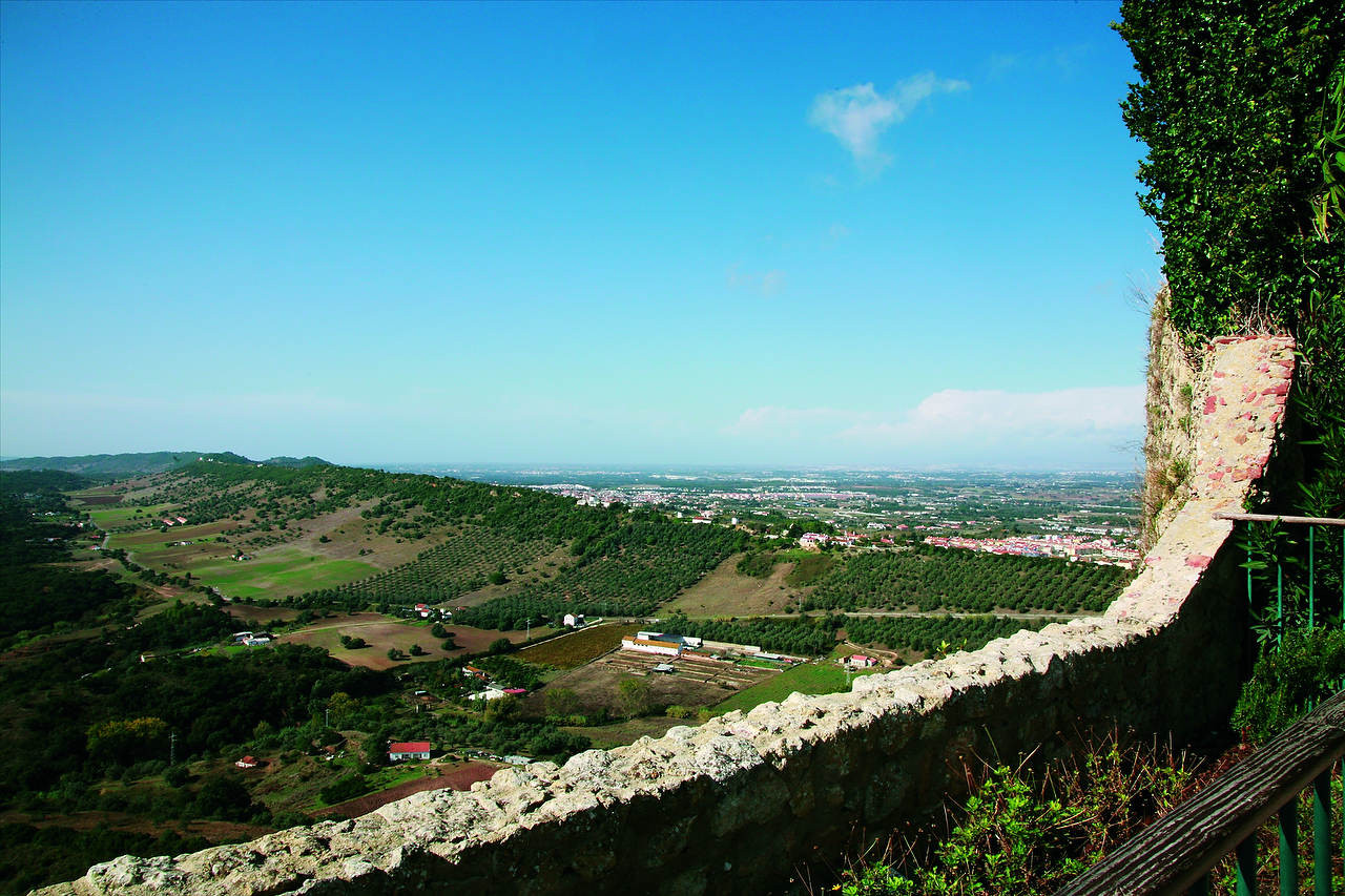 CR-PPalmela042.jpg
