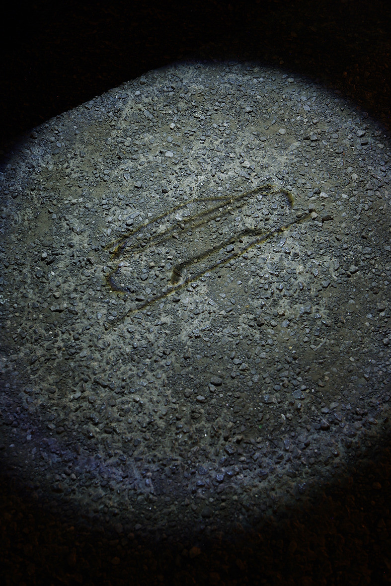 evoque_night_120.jpg