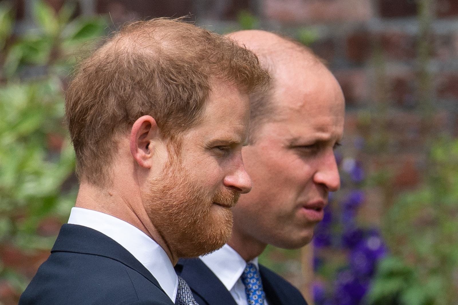 Harry William