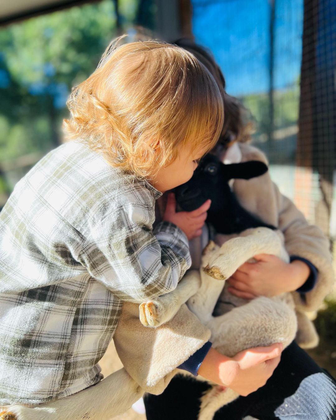 Filhos de Dália Madruga encantados com ovelha-bebé