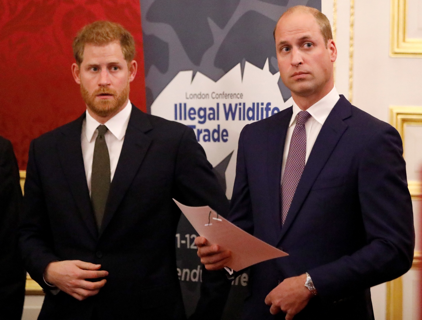Harry e William