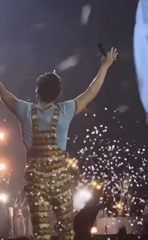 Harry Styles revela sexo do bebé de uma fã durante concerto