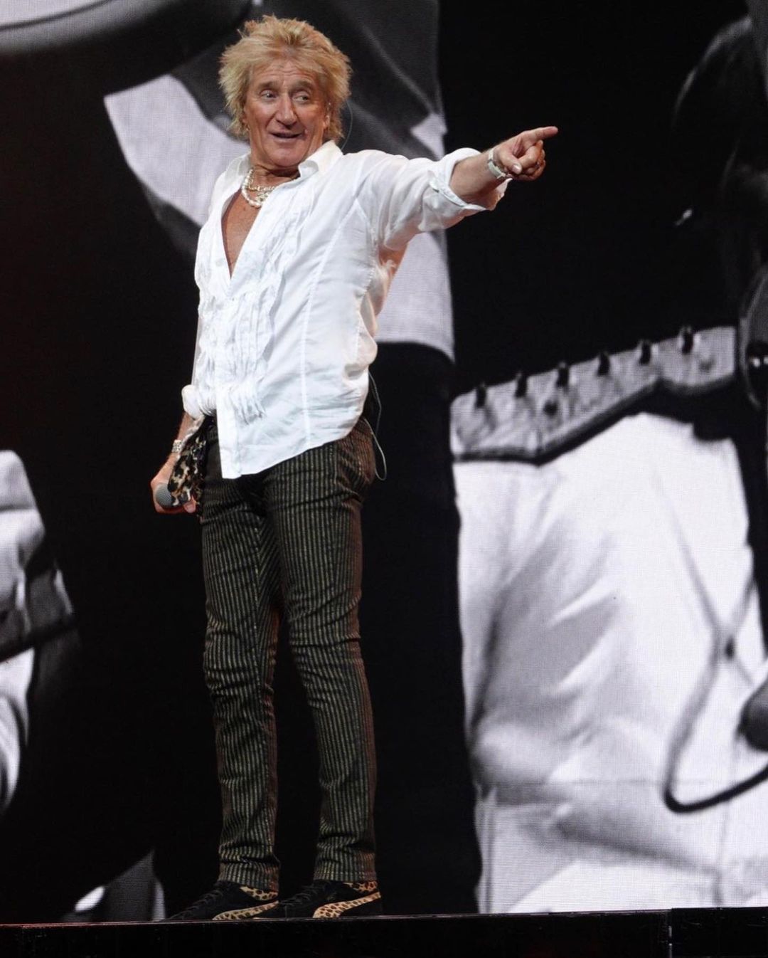 Rod Stewart 