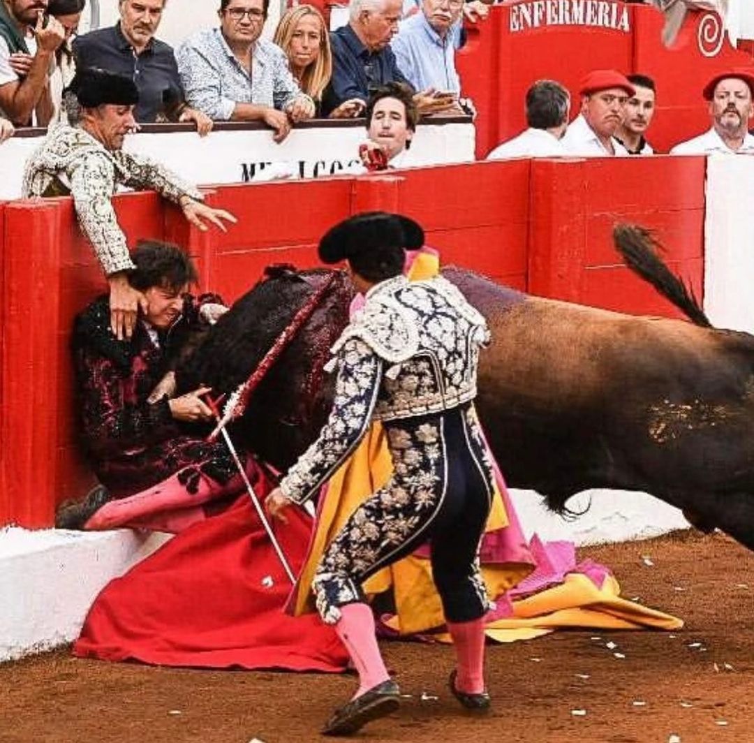 Namorado de Maria Cerqueira Gomes sofre acidente