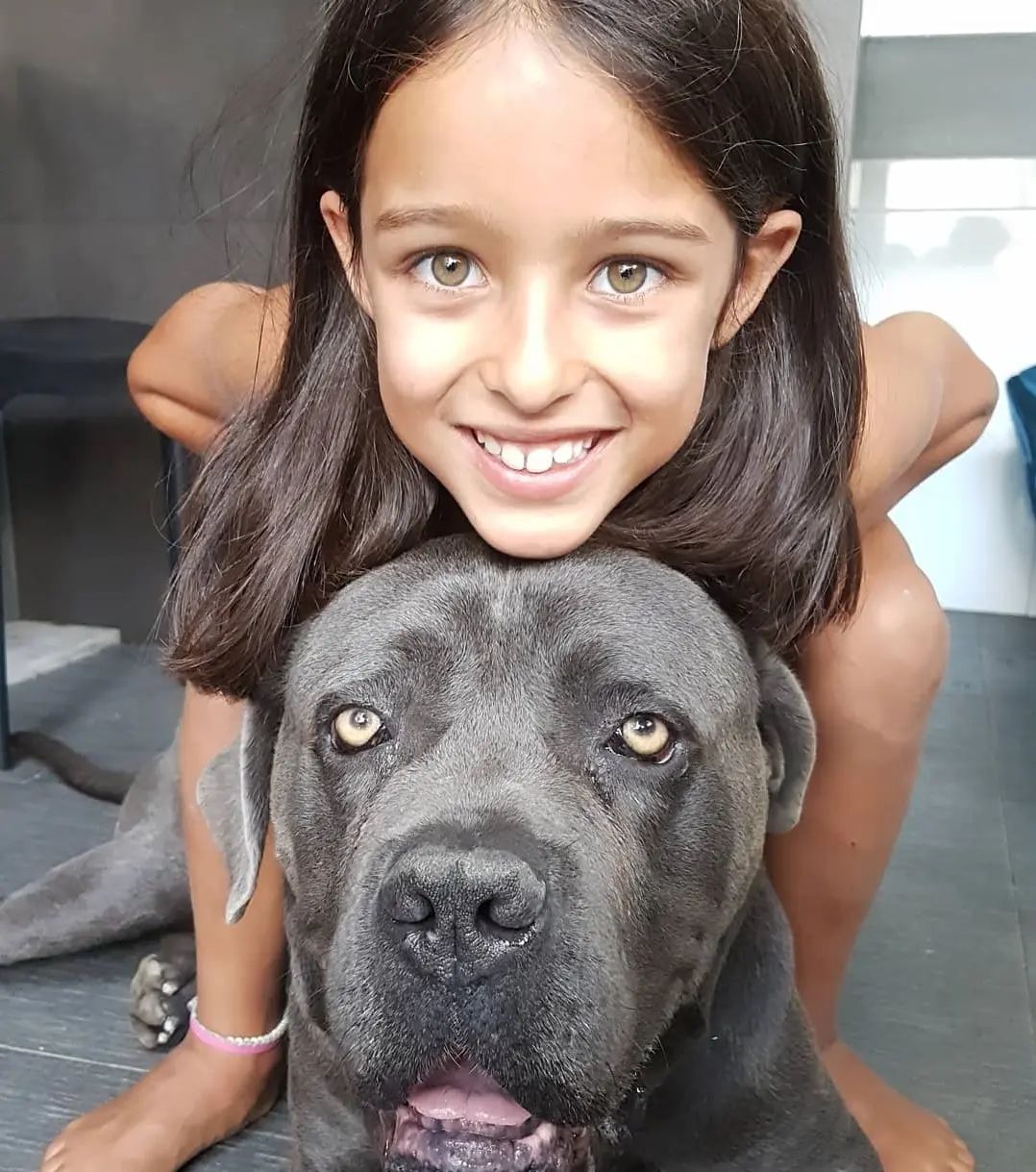 Andreia Dinis triste com a morte de Thor, o amigo de quatro patas