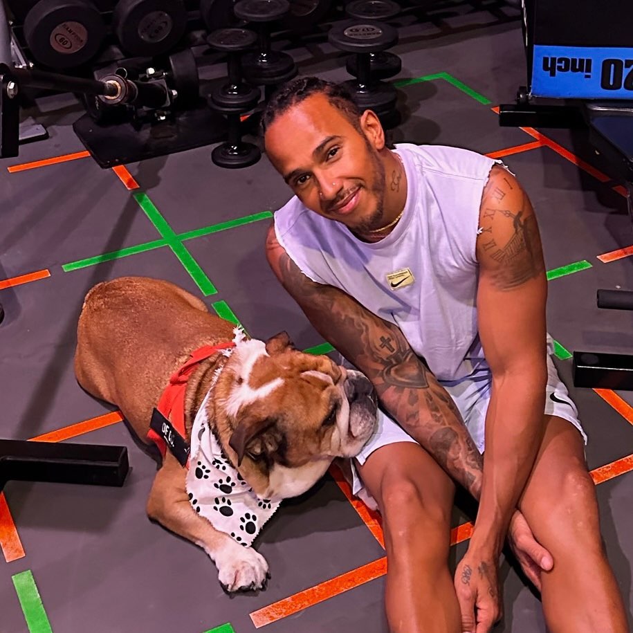 O aniversário do cão de Lewis Hamilton