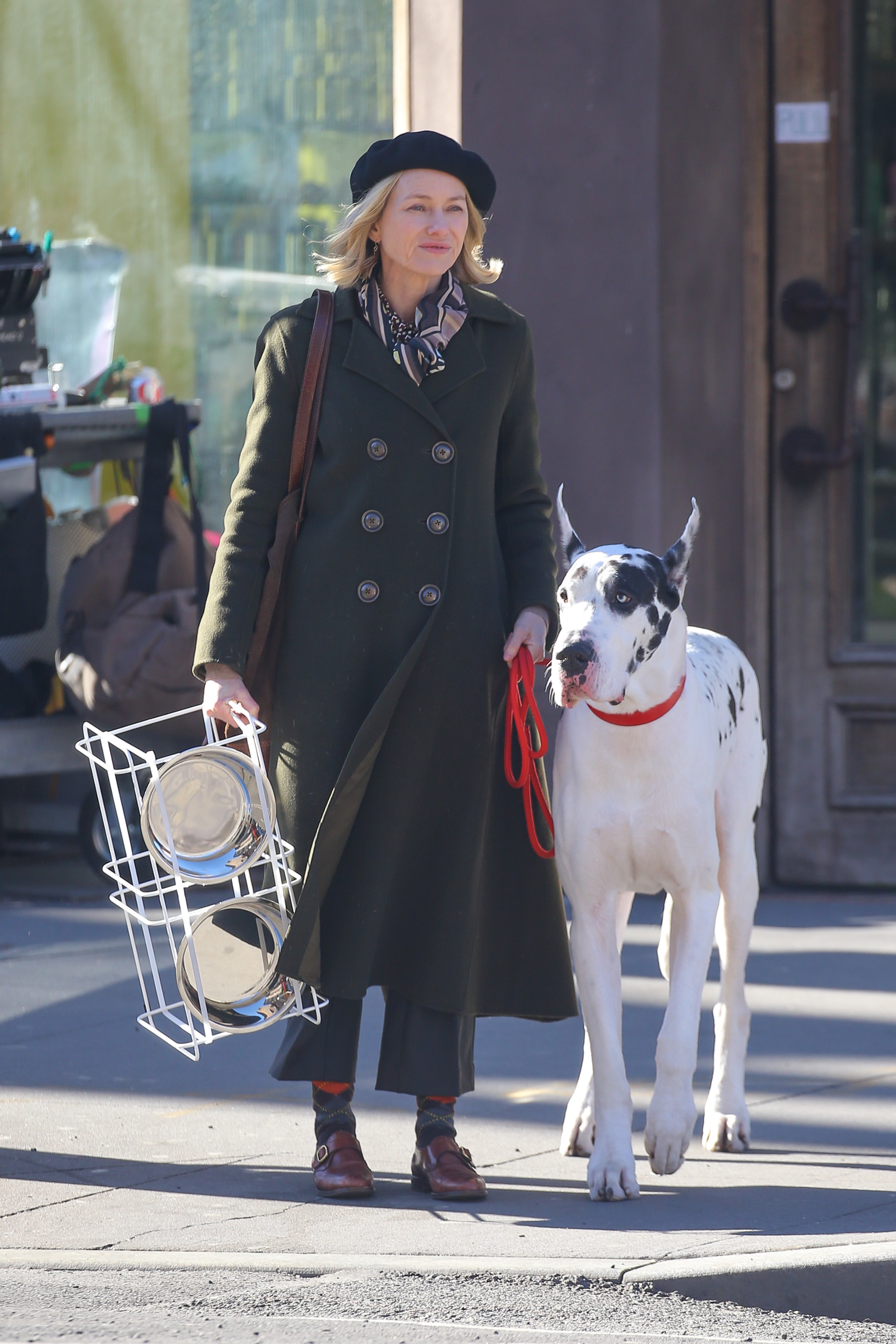 Naomi Watts passeia por Nova Iorque com companhia especial