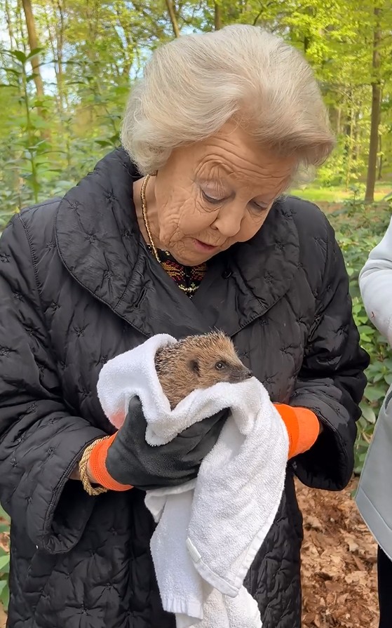 Beatriz dos Pa&iacute;ses Baixos d&aacute; as boas-vindas aos novos habitantes do jardim do castelo Drakensteyn