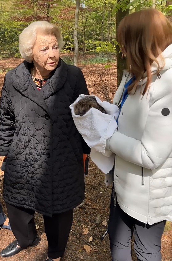 Beatriz dos Pa&iacute;ses Baixos d&aacute; as boas-vindas aos novos habitantes do jardim do castelo Drakensteyn