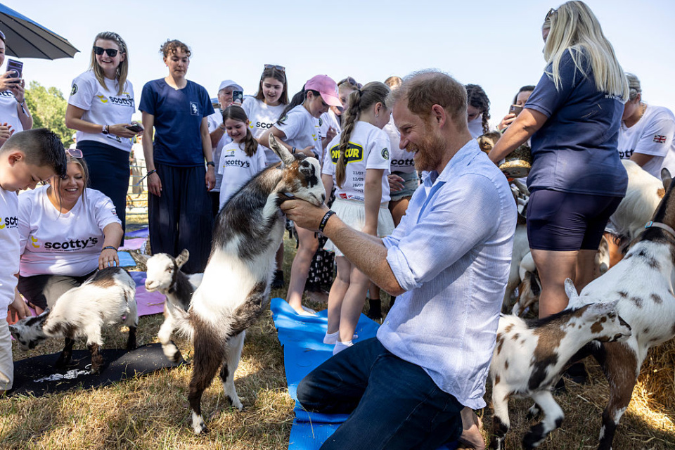 Príncipe Harry numa aula de "ioga com cabras" - Foto: Getty Images
